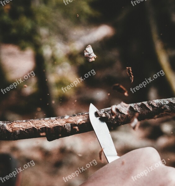 Carve Knife Wood Chips Background