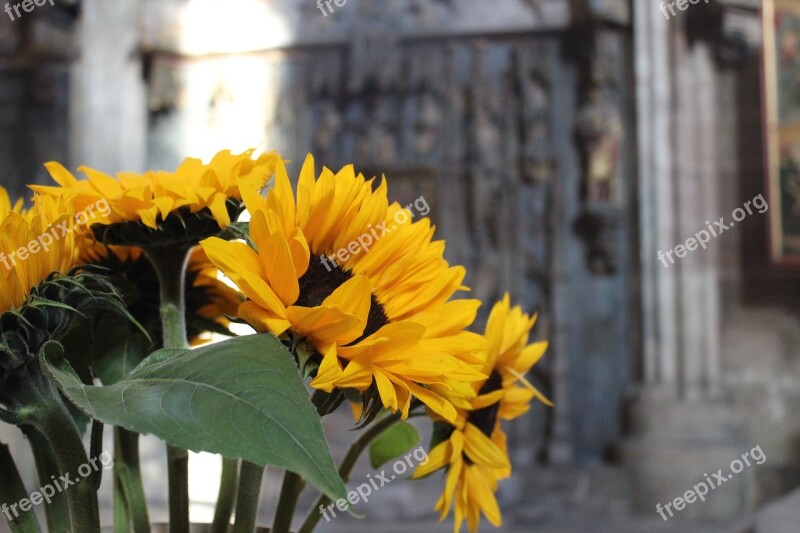 Sunflower Bouquet Yellow Flowers Vase