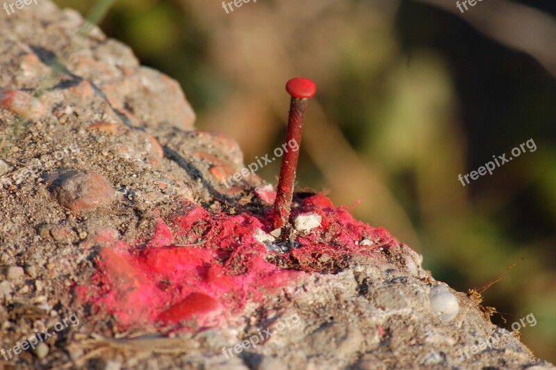 Nail Rust Red Rusty Nails