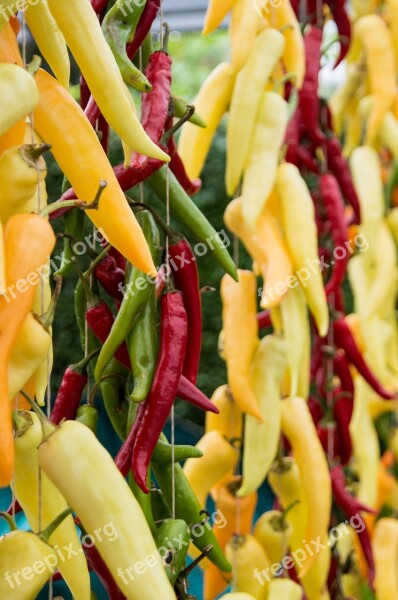 Chili Pepper Green Yellow Cooking