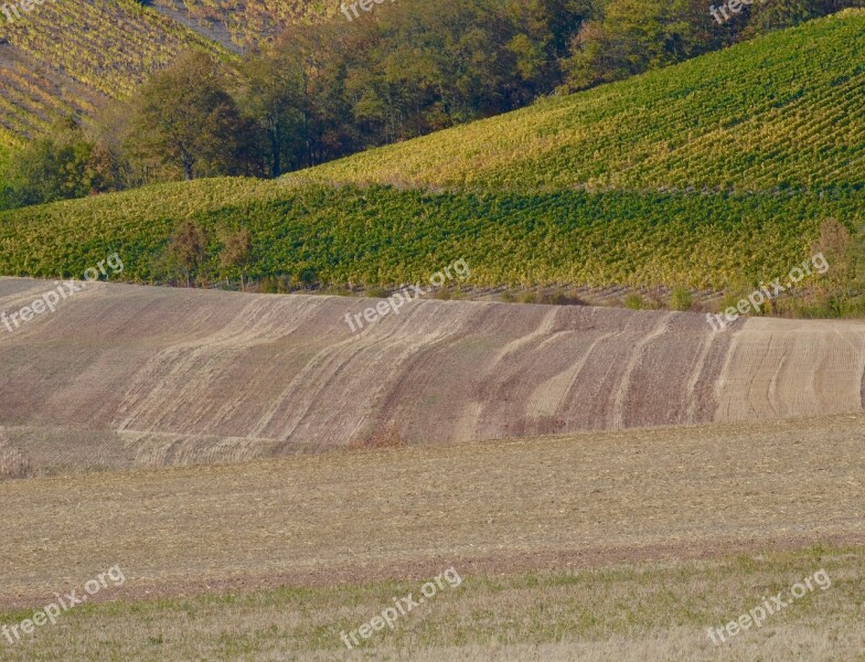 Fields Agriculture Landscape Harvest Nature