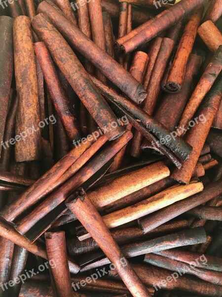 Cinnamon Flor Torino Dharwad Pepper