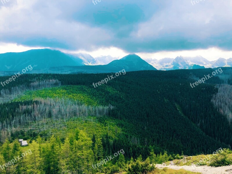 Tatry Zakopane Góry Karpaty Las