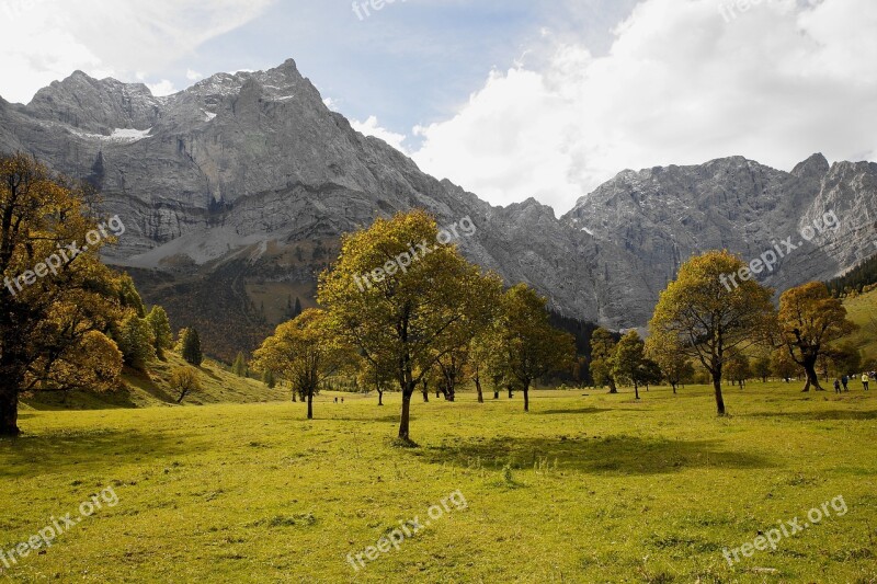 Tyrol Ahornboden Trees Engalm Karwendel