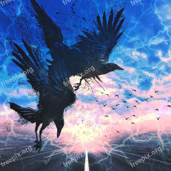 Art Path Nature Landscape Ravens