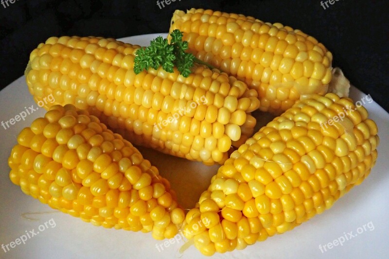 Corn Cooked Vegetable Healthy Food