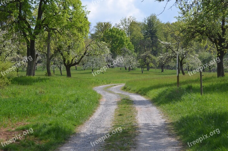 Away Silent Rest Walk Nature