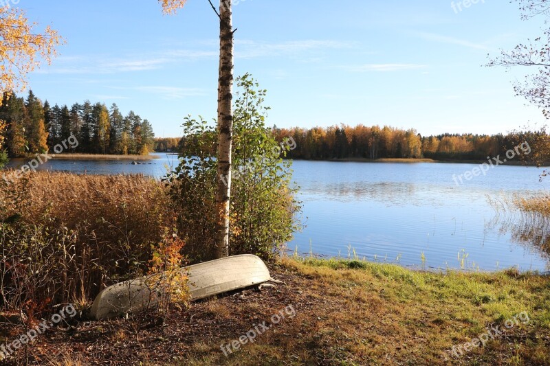 Lake Birch Tree Autumn Boat