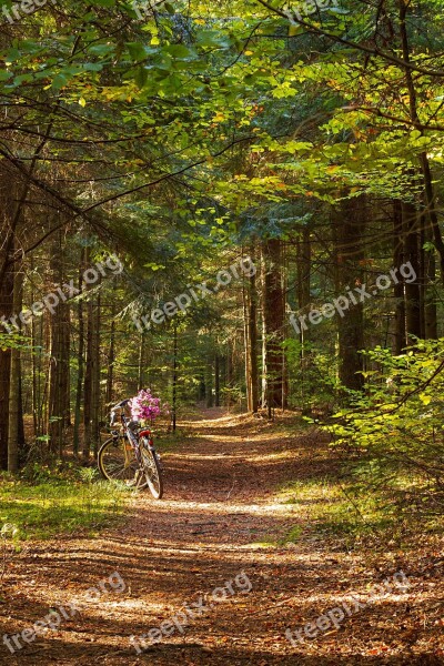 Forest Way The Path Bike Autumn