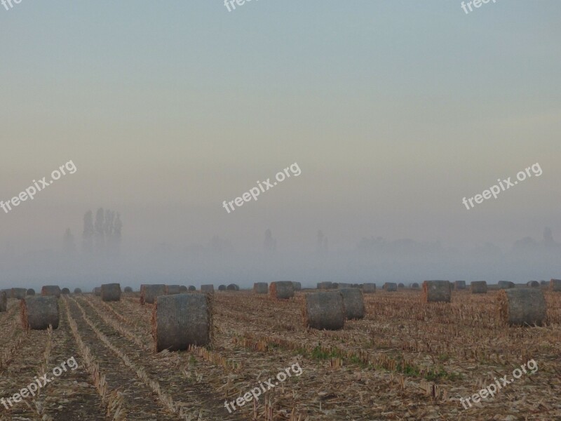 Morning Mist Grinding Wheels Fog Landscape