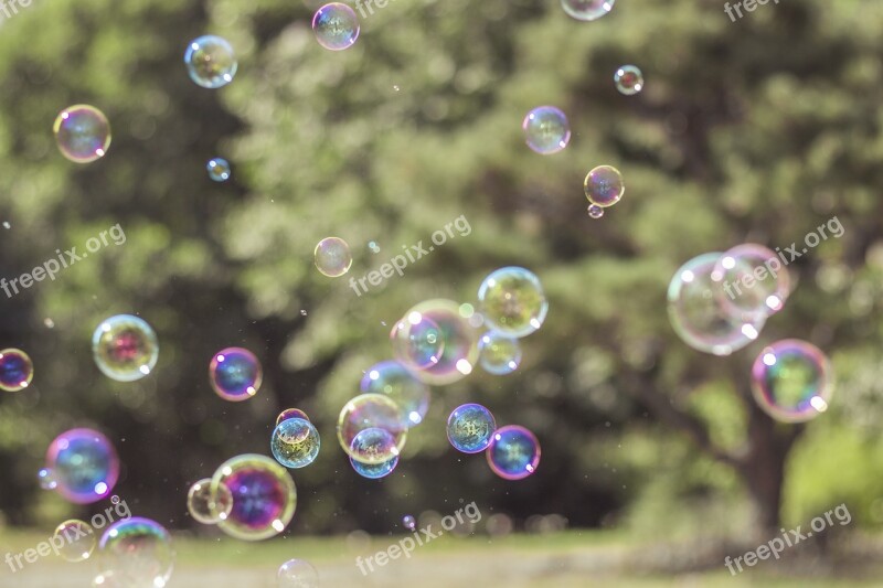 Soap Bubbles Colorful Flying Float Iridescent