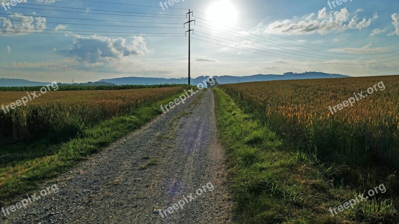 Nature Landscape Fields Lane Backlighting