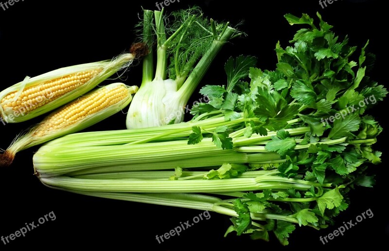 Vegetables Celery Fennel Corn Fresh