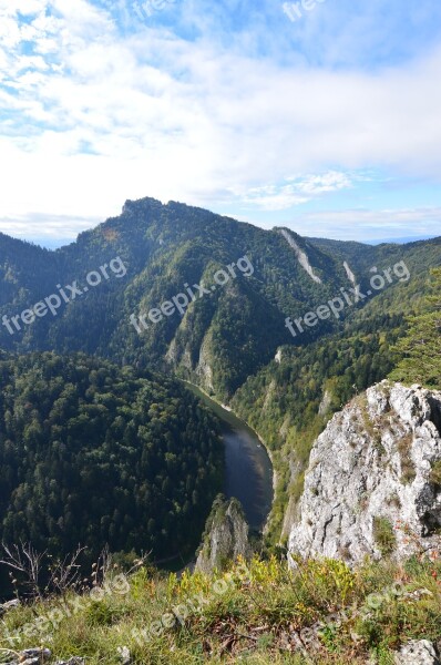 Pieniny Mountains Trail Designation Of The Tree