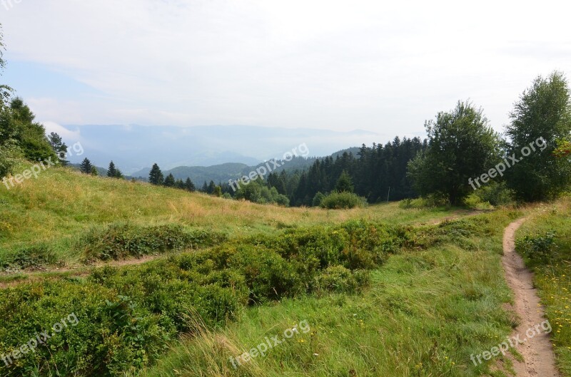 Beskid Sądecki Mountains Trail Designation Of The Tree