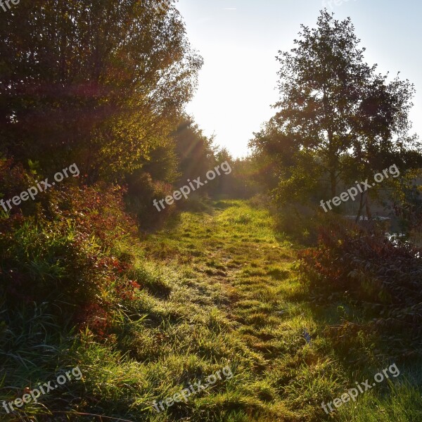 Morgentau Away Meadow Nature Trail Landscape