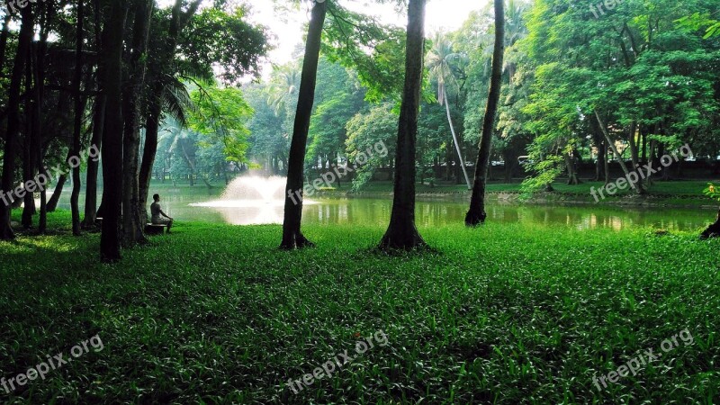 Meditation Nostalgia Peaceful Landscape Green