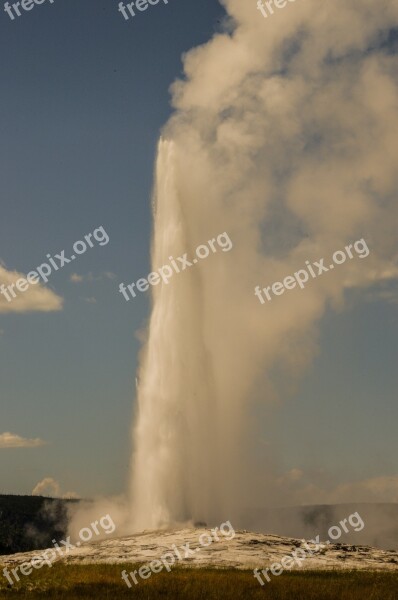 Usa America Geyser Yellowstone National Park