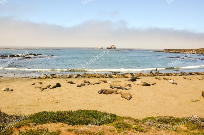 Piedras Blancas California Highway 1 Pacific Coast Pacific