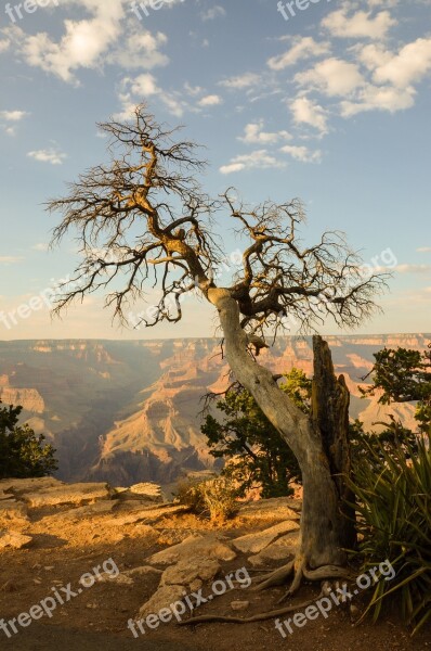 Grand Canyon Arizona Usa Canyon National Park