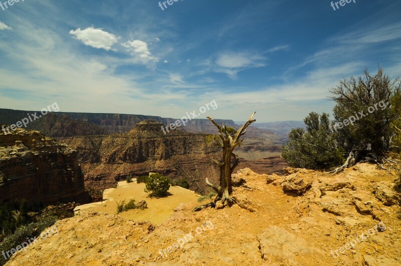 Grand Canyon Arizona Usa Canyon National Park