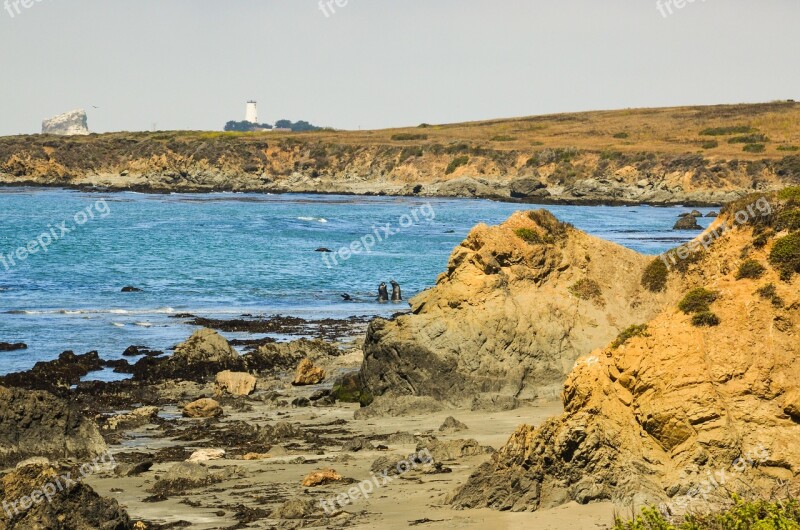 Usa America California Pacific Coast Coast