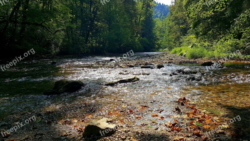 River Wutach Wutach Gorge Nature Water