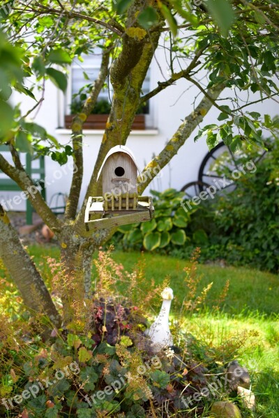 Bird Feeder Tree Feeding Einflugloch Nature