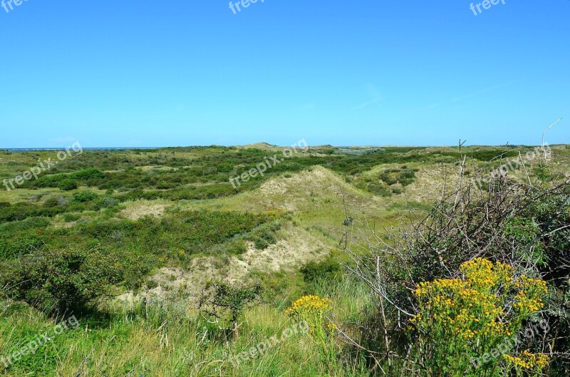 Dune Landscape Dunes North Sea Coast Borkum-ostland Nature Reserve