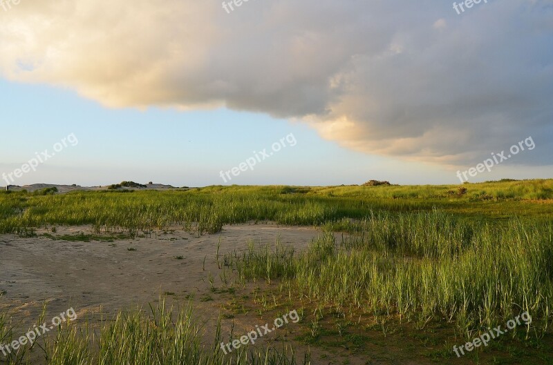 Mood Blue Hour Dunes Twilight Borkum