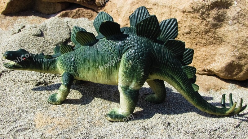 Stegosaurus Dinosaur Lizard Extinction Jurassic