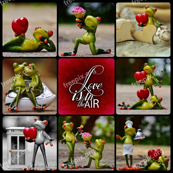 Frog Love Valentine's Day Pose Heart