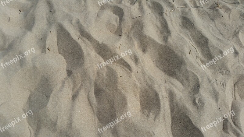 Sand Dune Background Holland Sea Sand