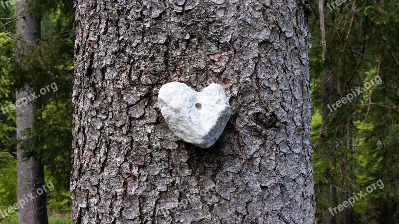 Stone Heart Wood Tree Heartshaped