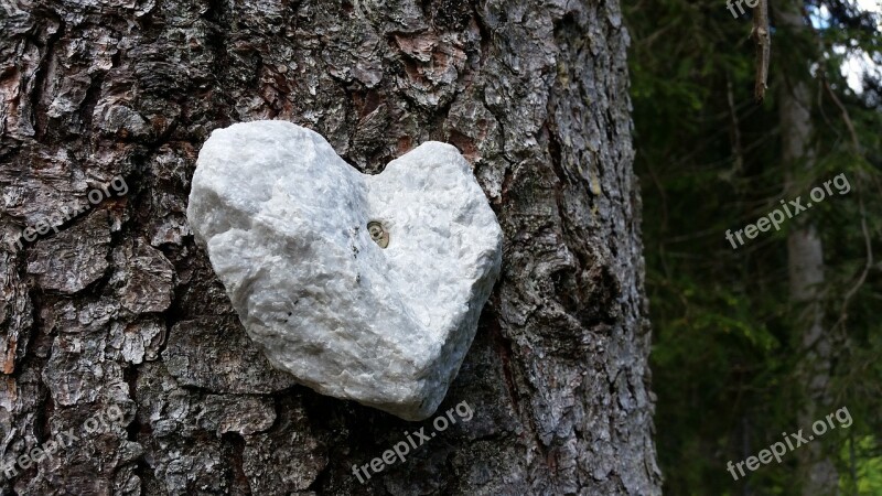 Stone Heart Wood Tree Heartshaped