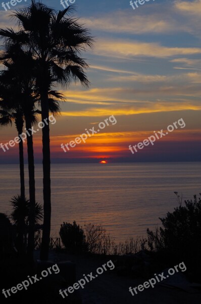 Sunset Palm Trees Mood Sea Sun