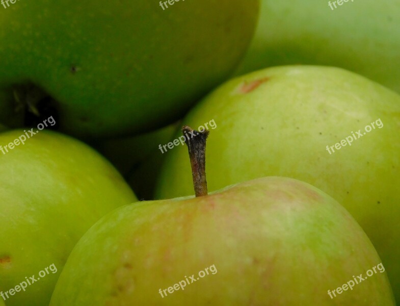 Apple Obstfall Fruit Fruits Vitamins