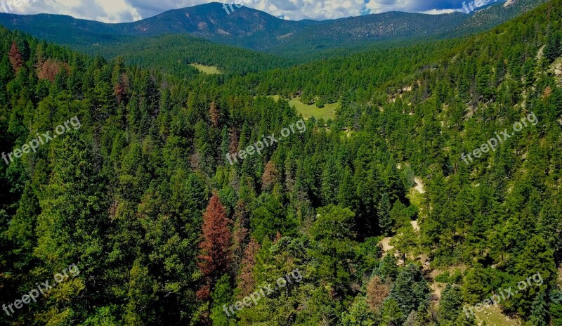 Nature Valley Trees Landscape Outdoor