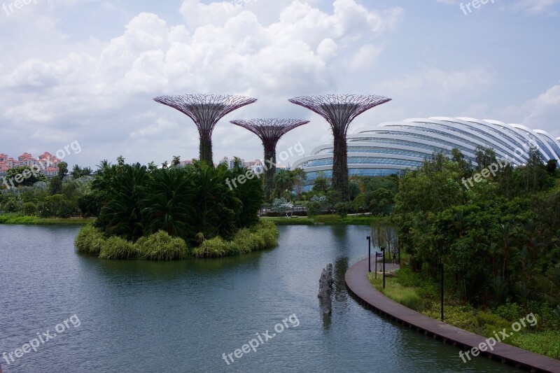 Singapore Garden Park Asia Nature