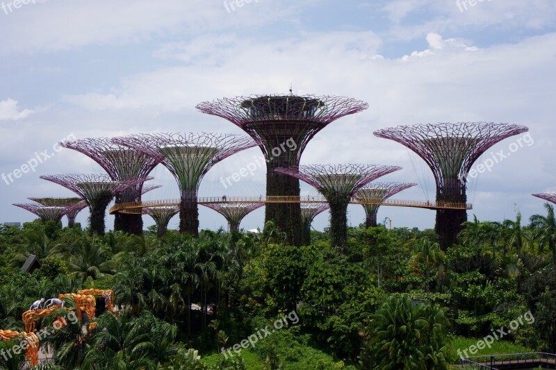 Singapore Gardens Trees Asia Nature