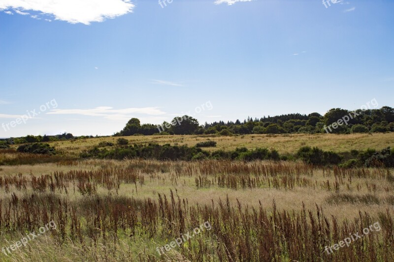 Field Sun Scotland Aberdeen Nature