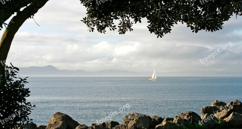 Sailboat Yellow Sailboat Trees San Francisco Bay Clouds