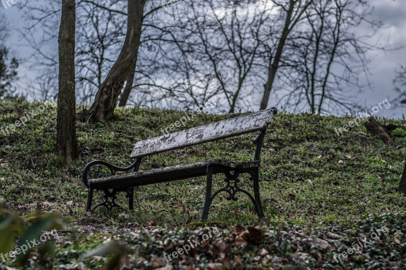 Lonely Pad In Autumn Free Photos