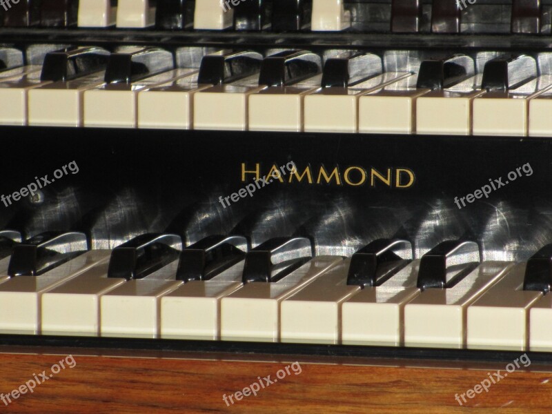 Musical Instruments Organ Hammond Keyboard Instrument Free Photos