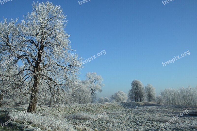 Winter Winter Landscape Nature Snow Snow Landscape