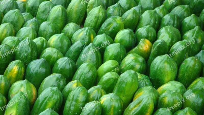 Fruit Papaya Harvest Green Production