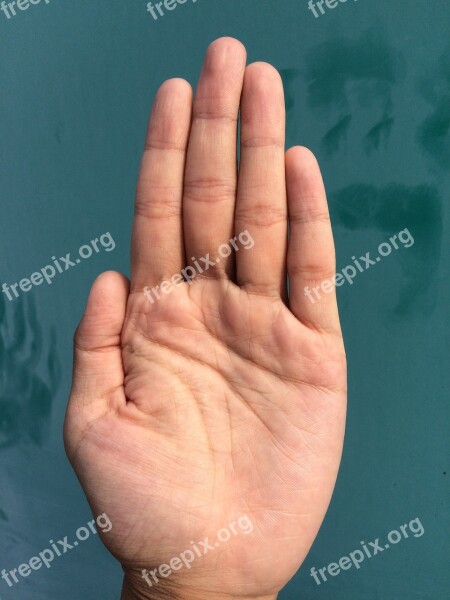 Palm Hand Finger Bleaching Palm Reading