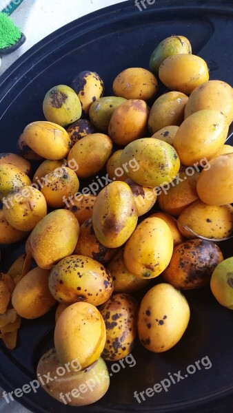 Mango Fruit Manga Manguita Ripe Fruit