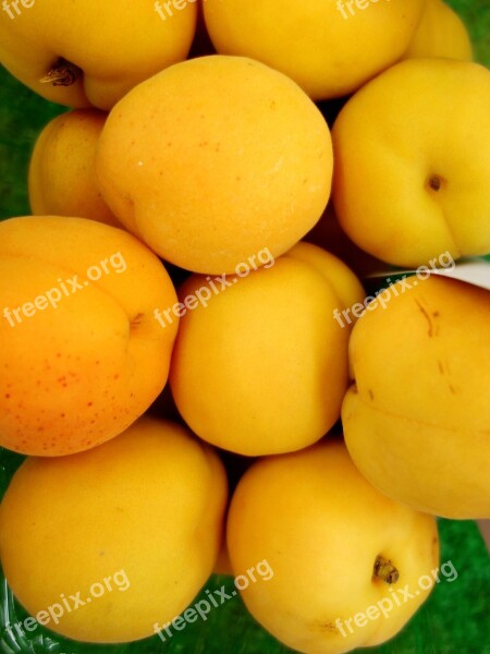 Apricot Apricots Yellow Free Photos