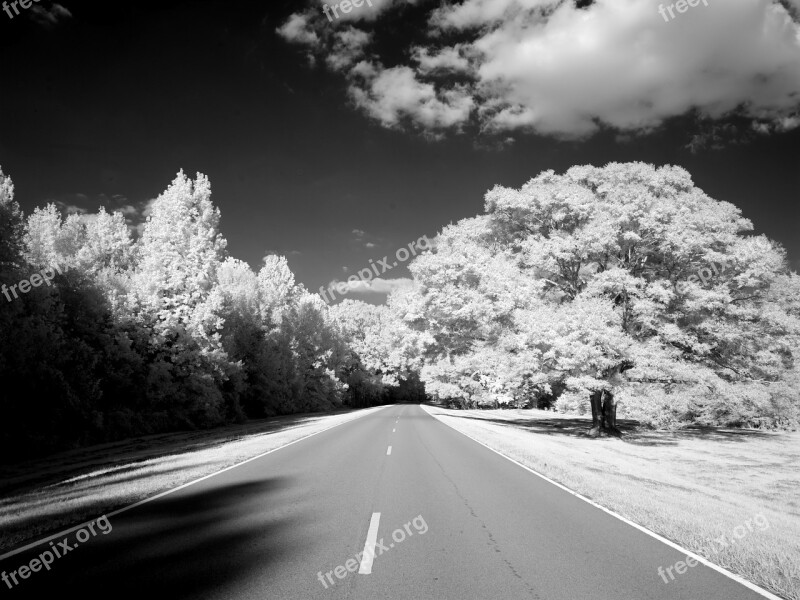 Natchez Trace Parkway Mississippi Tennessee Road Infra Red